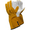 Tegera® 8 Gloves (6 pairs)