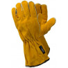 Tegera® 19 Gloves (6 pairs)
