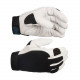 Glove for GENERAL JOBS IN CAND SKIN
