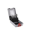 Set di 5 fragole rotative di 12 mm di diametro e forme diverse COFAN 32210111