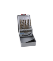 Assorted drill bit case made of high-speed steel, cobalt, and titanium 1 - 10mm (19 units) COFAN