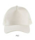 5 Panel-Mesh-Kappe SOLs Blink
