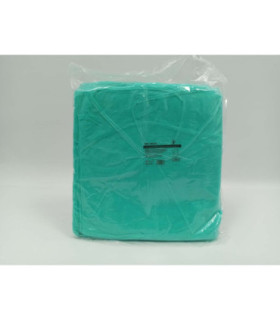 Camice monouso con polsino elastico verde in polipropilene (Confezione da 10 pz)
