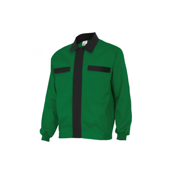 Série de chasseurs verts CT61601