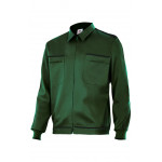 Grüner Hunter Forest Vertale Bicolor BI61601 Serie