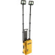 Rrals 9460