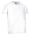 Camiseta niño manga corta y cuello redondo en algodón Ring Spun DINO VALENTO