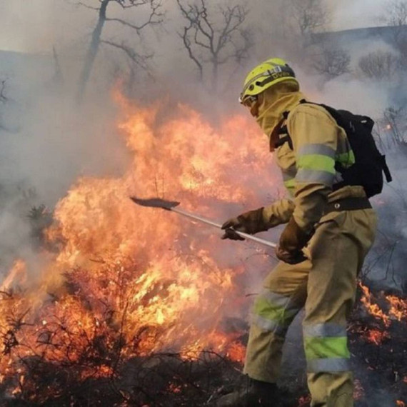 Pack de batefuegos forestal telescópico y mochila extintor forestal