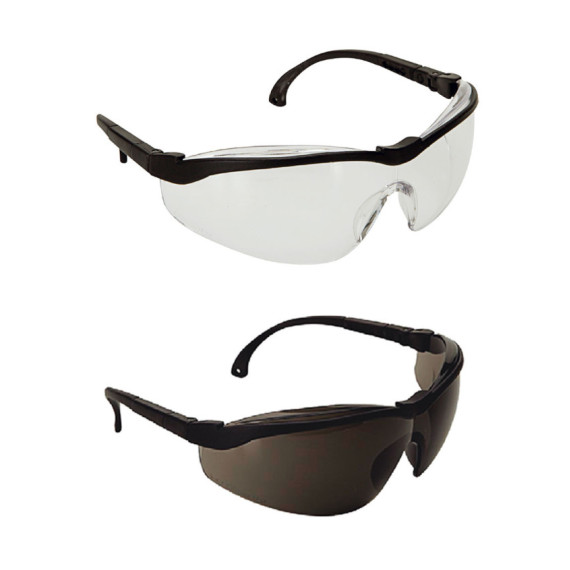Safety Glasses reference 595 Climax