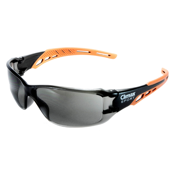 Panoramaschutzbrille Referenz 630 Climax