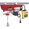 PH 250 METALWORKS electric wire hoist