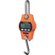 Crane scale