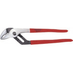 Pinza