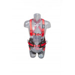 Harness 3M Protecta Pro with Belt AB114125ng