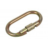 Carabiner with security thread