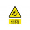 Signal d'avertissement ! Danger ! Chute d'objets (pictogramme et texte) COFAN