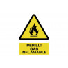 Sign in Catalan: Danger flammable gas (text and pictogram) COFAN