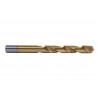 Foret en titane HSS TIN-DIN 338 COFAN