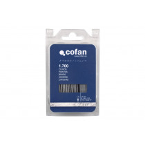 Blister clavos M-15 C/ cabeza