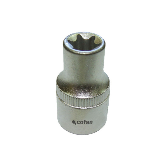 Torx vidro feminino 1/4 "