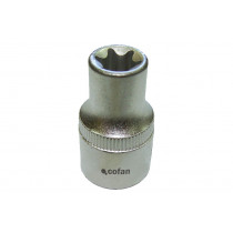 Torx vidro fêmea 1/2 "