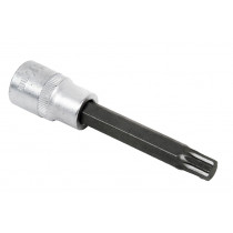 Vidro 1/2 "Extra Long Point 65mm Torx
