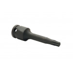 Torx männliches Wirkung Glas 09765401