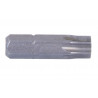 Torx tip of screwing 1/4 "Versions of 25mm to 50mm Cofan