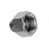 Male-Female reduction fitting 06090150