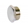 Hexagonal Plug Male Thread (5 Units) 06170001