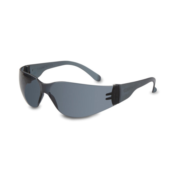 Gafas de protección básicas Impact 149.02 Lente PC Solar + Cordón (100 Uds) PEGASO SAFETY