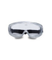 Safety Glasses with Full Integral Frame Iron 183.01 Clear PC Lens PRIVILEGE PEGASO SAFETY