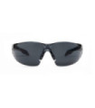 Schutzbrille Omnis 205.02 PC Solar PRIVILEGE PEGASO SAFETY