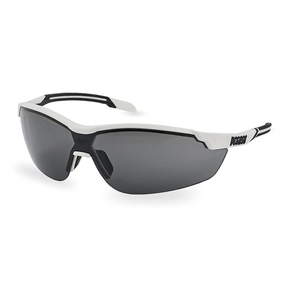 Schutzbrille Air 206.02 PC Solar PRIVILEGE PEGASO SAFETY