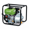 FWP clean water motor pump