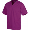 Unisex sanitary jacket with short sleeves and crossed V-neckline WORKTEAM B9200