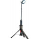 RALS 9440