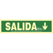 Sinal de saída de seta para baixo luminescente 105 x 402 mm