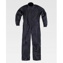 Basic Diver B2010