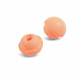 Pack 10 paires de bouchons pour PERCAP