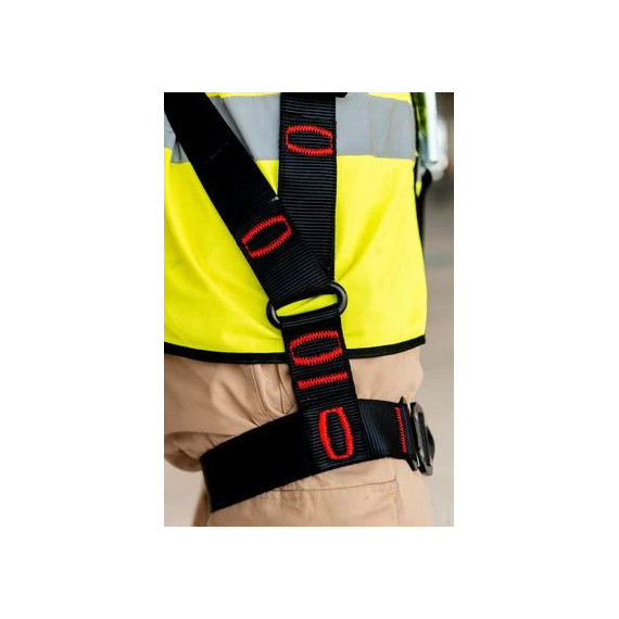 Vest standard standard 3M ™ Protecta® E200 Forest Harness, 1161642