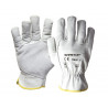 Gants en cuir de bovin renforcés SAFETOP Xalo