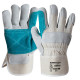 12 pairs of mixed gloves (Serraje / Canvas) Niagara Task (Size 10)