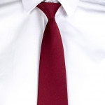 Cravatta unisex con nodo e clip di gary elastico