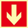 Evacuation Signal Down Arrow Luminescent SEKURECO