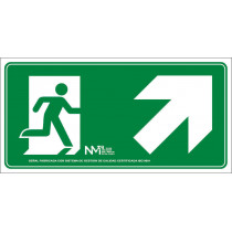 Signal Sign Up Right Ladder (Solo Pictogram) Luminescent B11150