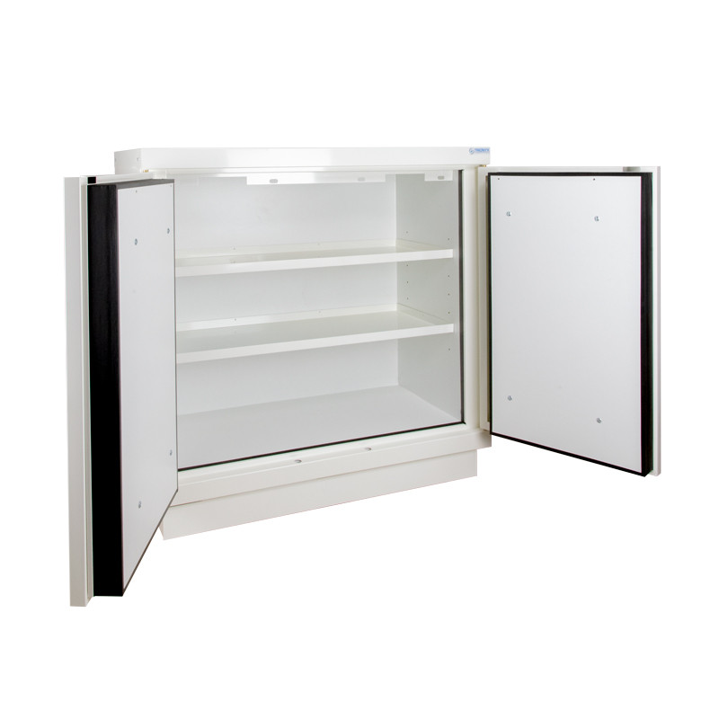 Work cabinet for documents, 2 doors 90 minutes of fire resistance ECOSAFE