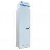 Armadio di sicurezza con ventilazione filtrante con 1 porta in acciaio 150L ECOSAFE