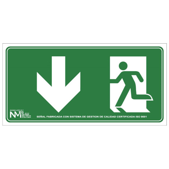 Sign Exit Door (Solo Pictogram) Down Arrow Luminescent