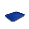 Small customizable Fast Food tray 11860 (12 Units) DENOX- FAMESA